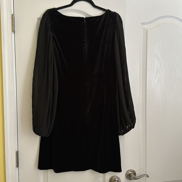 White House Black Market  Black velvet Dress with Sheer Boho Sleeves - Picture 4 of 6